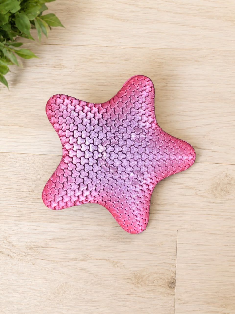 Textured Starfish Sensory Fidget